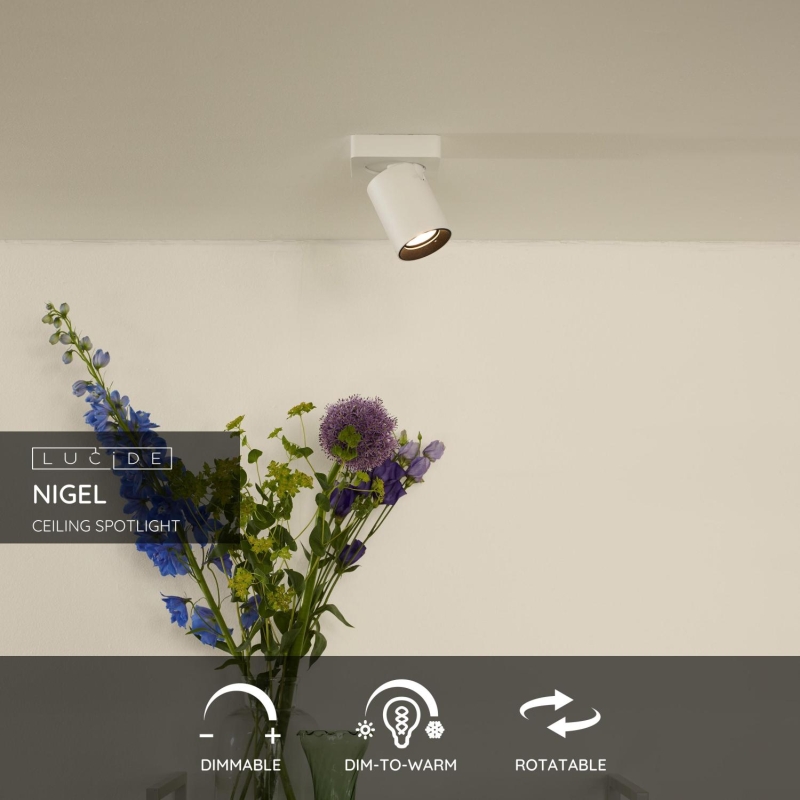 Lucide NIGEL - Stropné bodové svietidlo - LED Dim to warm - GU10 - 1x5W 2200K/3000K - White